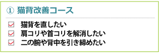 猫背矯正コース